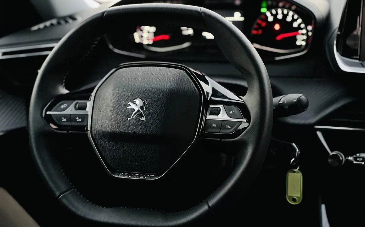 PEUGEOT 2008 - image 8