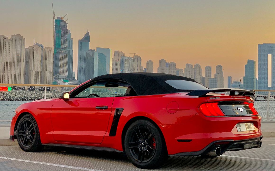 FORD MUSTANG-R - image 6
