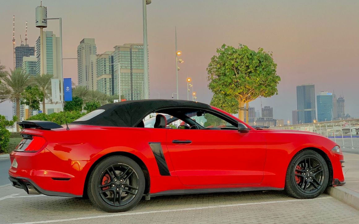 FORD MUSTANG-R - image 8