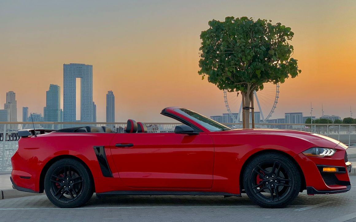 FORD MUSTANG-R - image 2