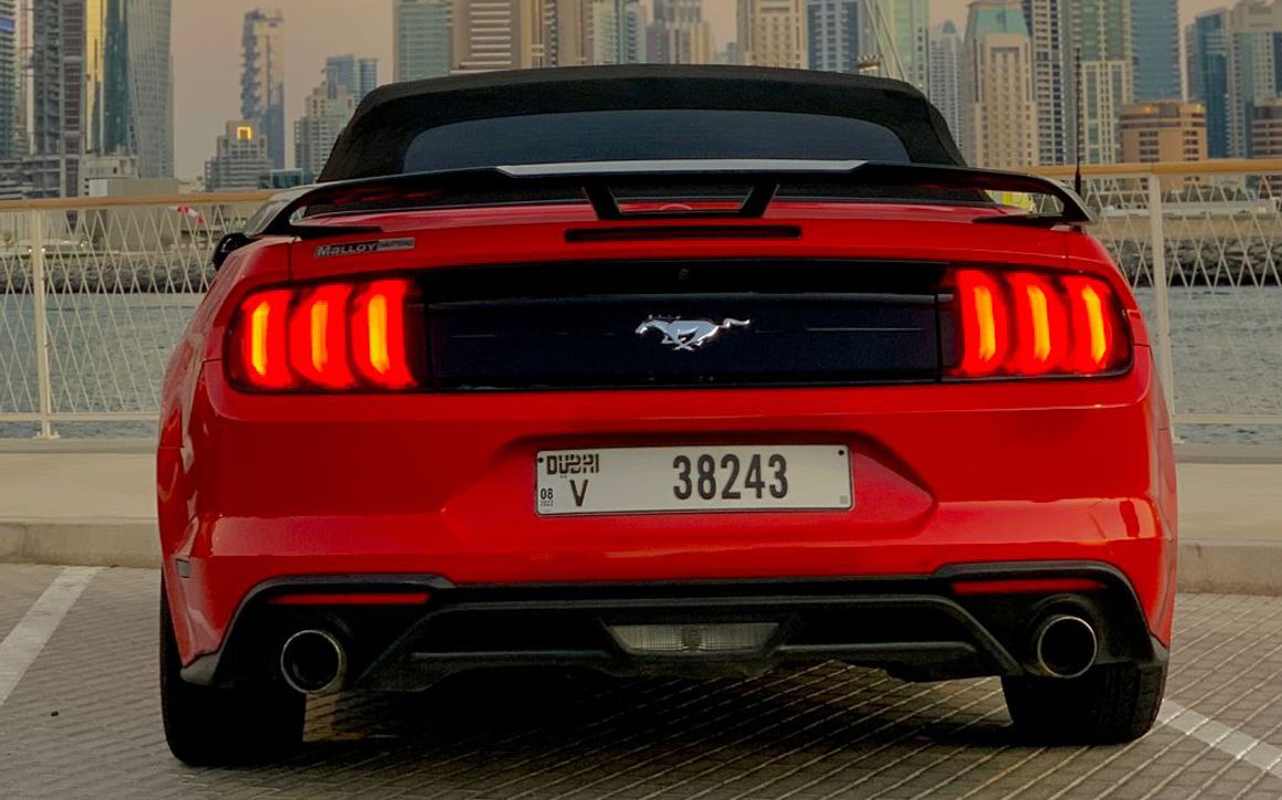 FORD MUSTANG-R - image 9