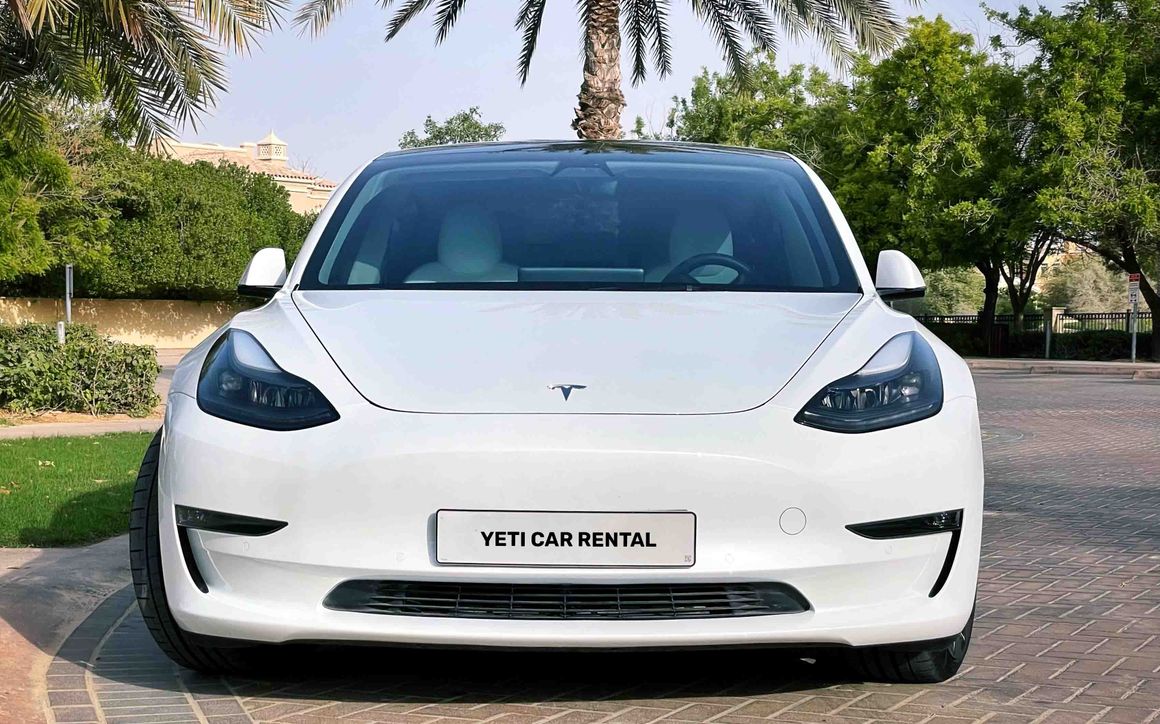 TESLA MODEL 3 STANDARD - image 2
