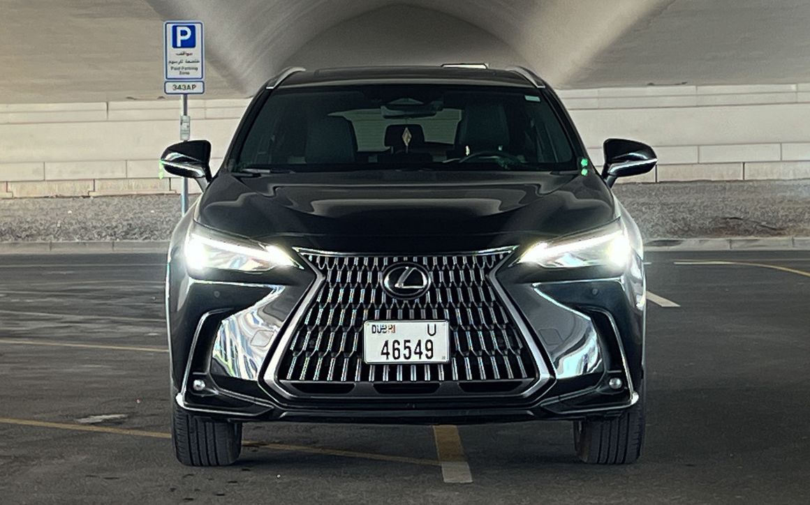 Lexus NX 250 - image 3