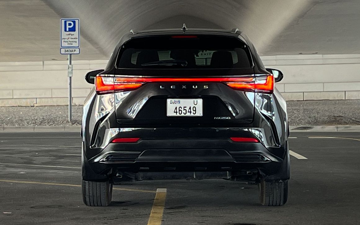 Lexus NX 250 - image 6