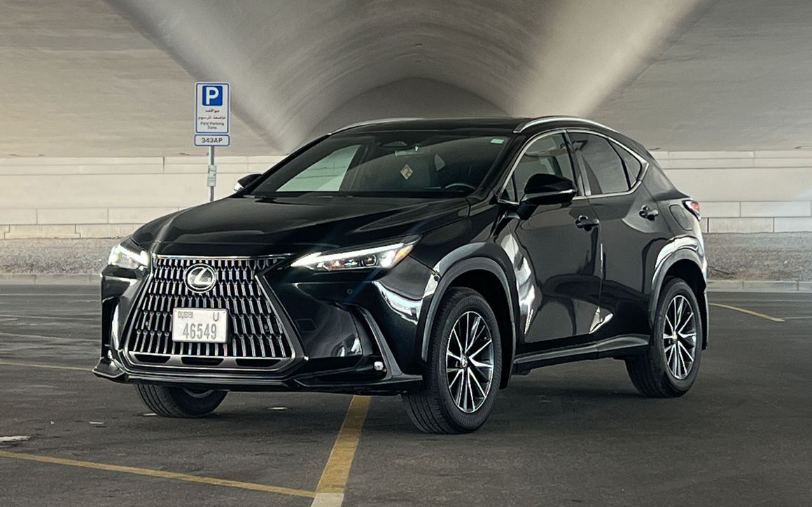 Lexus NX 250 - image 1