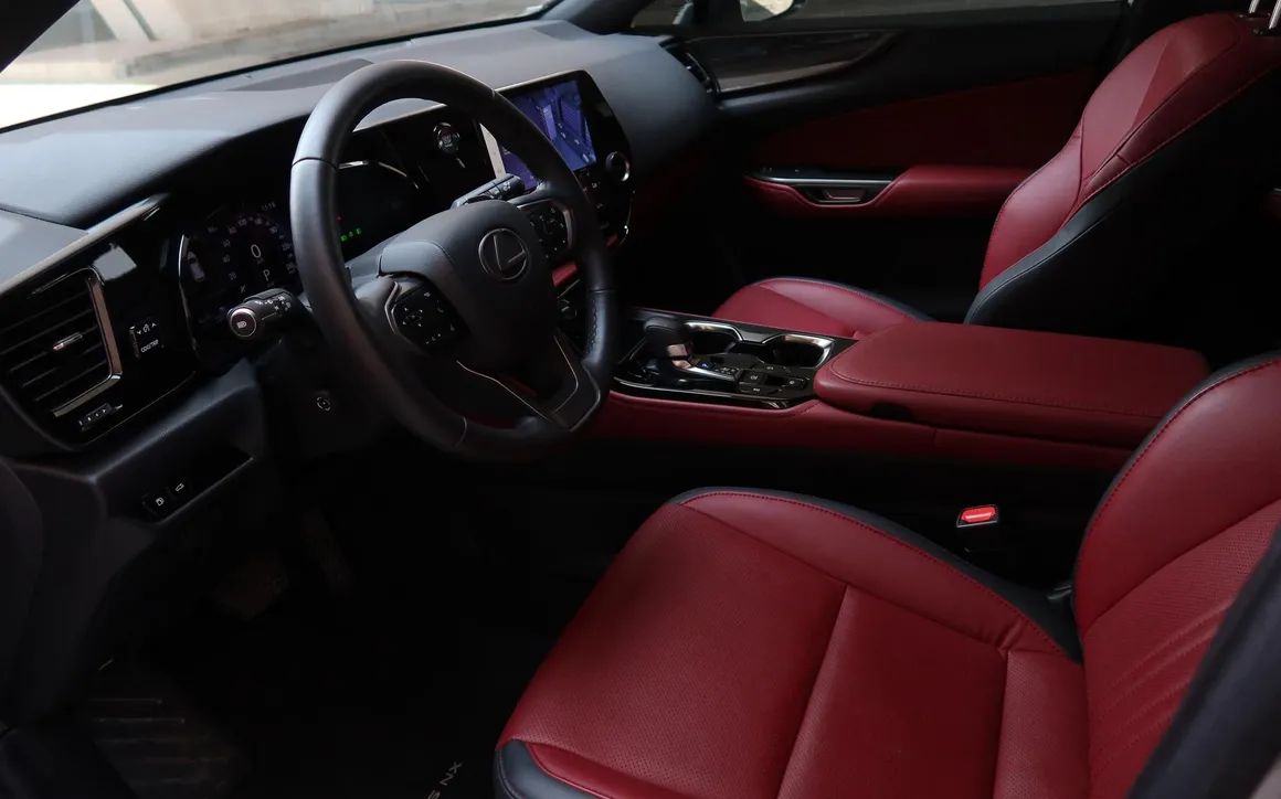 Lexus NX250 - image 7