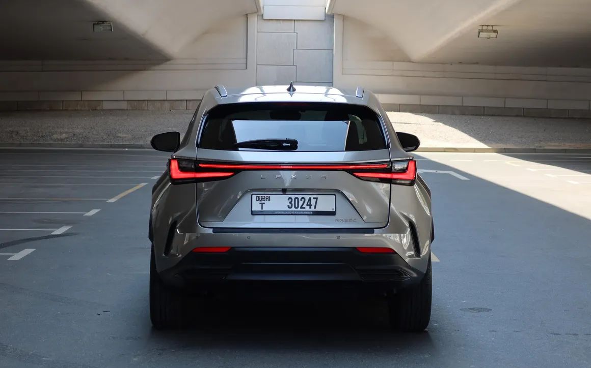 Lexus NX250 - image 6