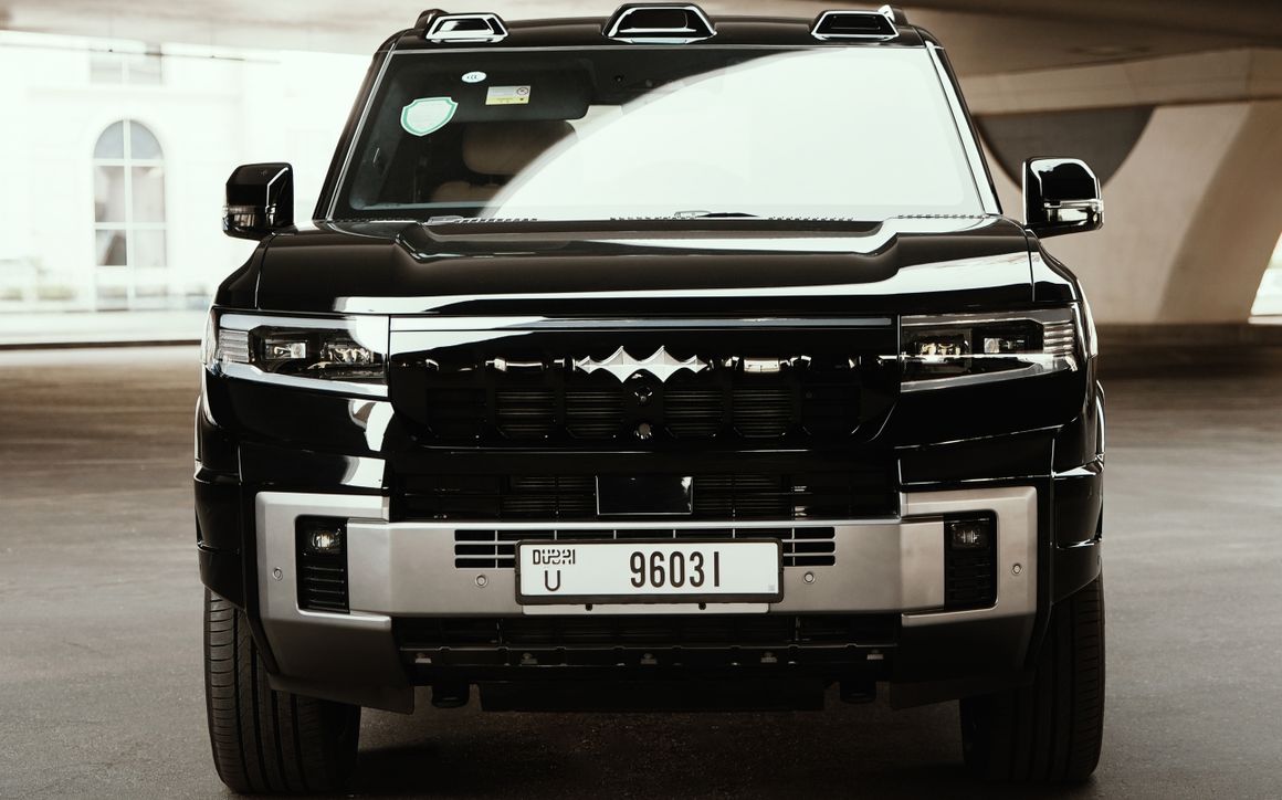 BYD LEOPARD 8 - image 2