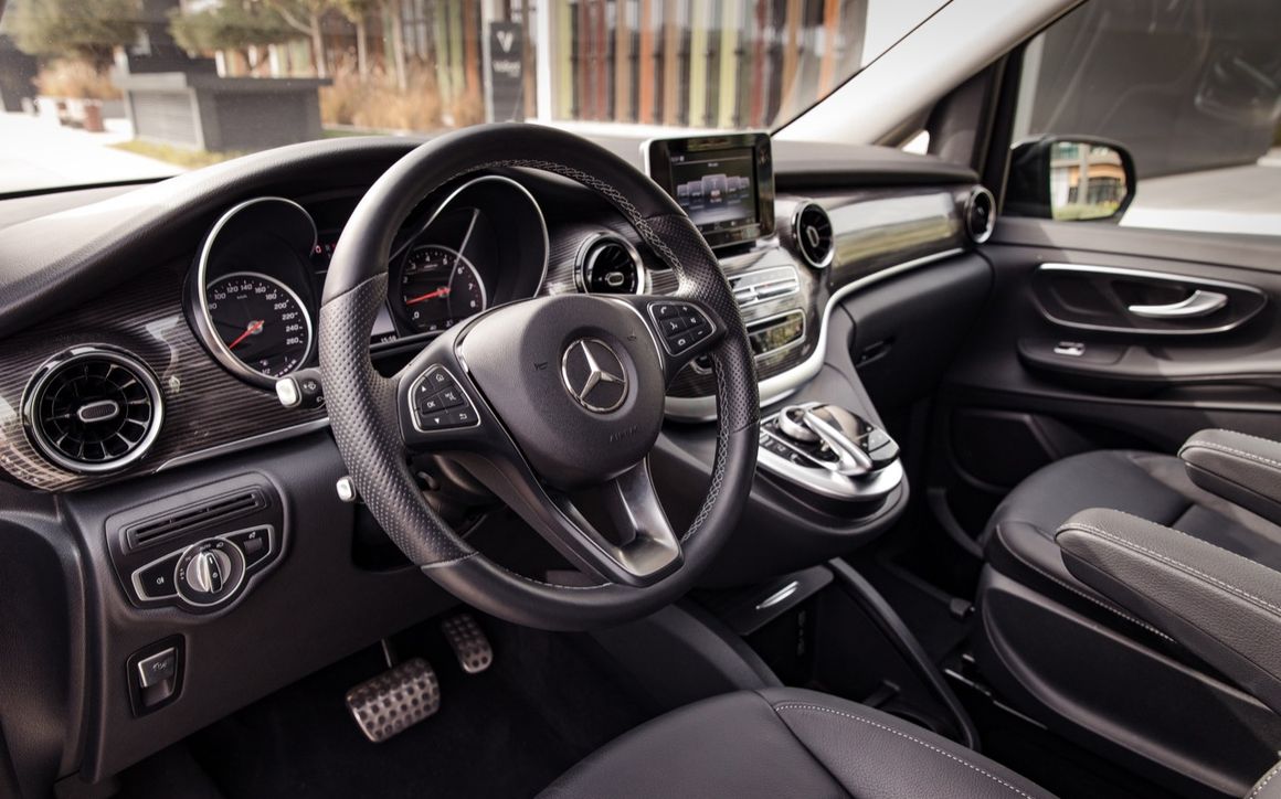 Mercedes Viano - image 11