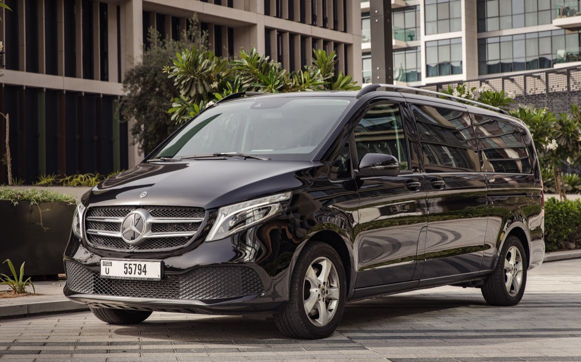 Mercedes Viano - image 1
