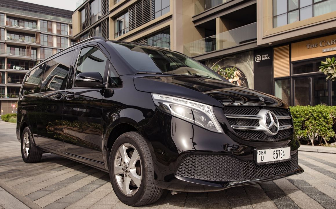 Mercedes Viano - image 6