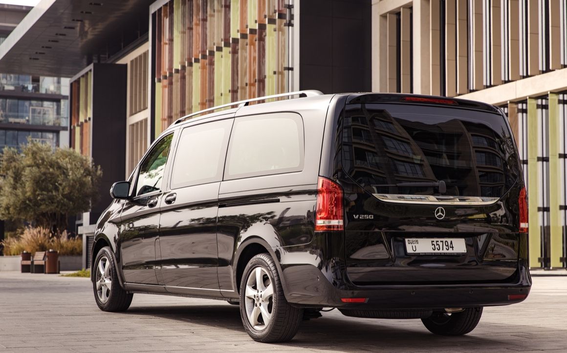 Mercedes Viano - image 7