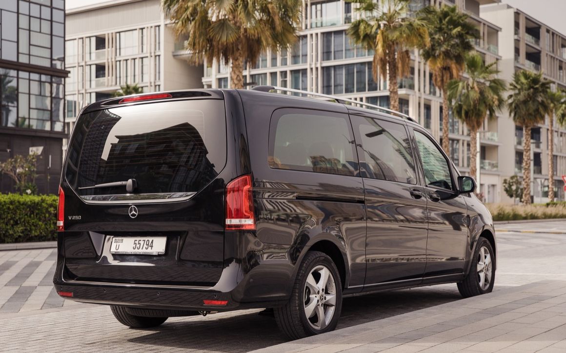 Mercedes Viano - image 9