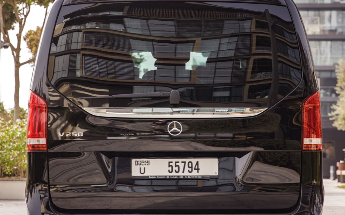 Mercedes Viano - image 8