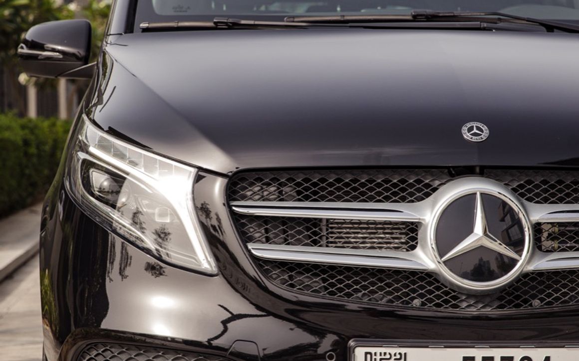 Mercedes Viano - image 10