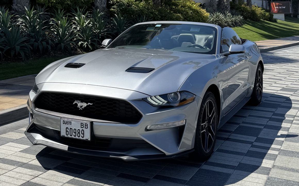 Ford Mustang - image 1