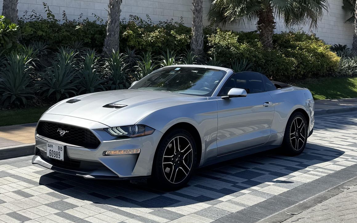 Ford Mustang - image 3