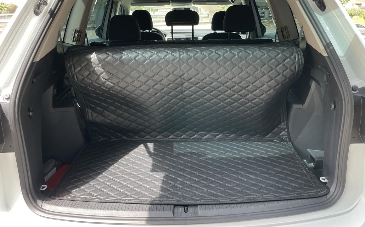 VOLKSWAGEN TERAMONT - image 6
