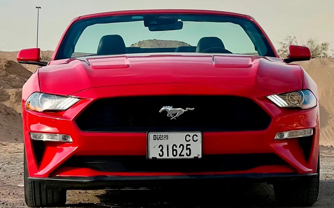 Ford Mustang - image 3