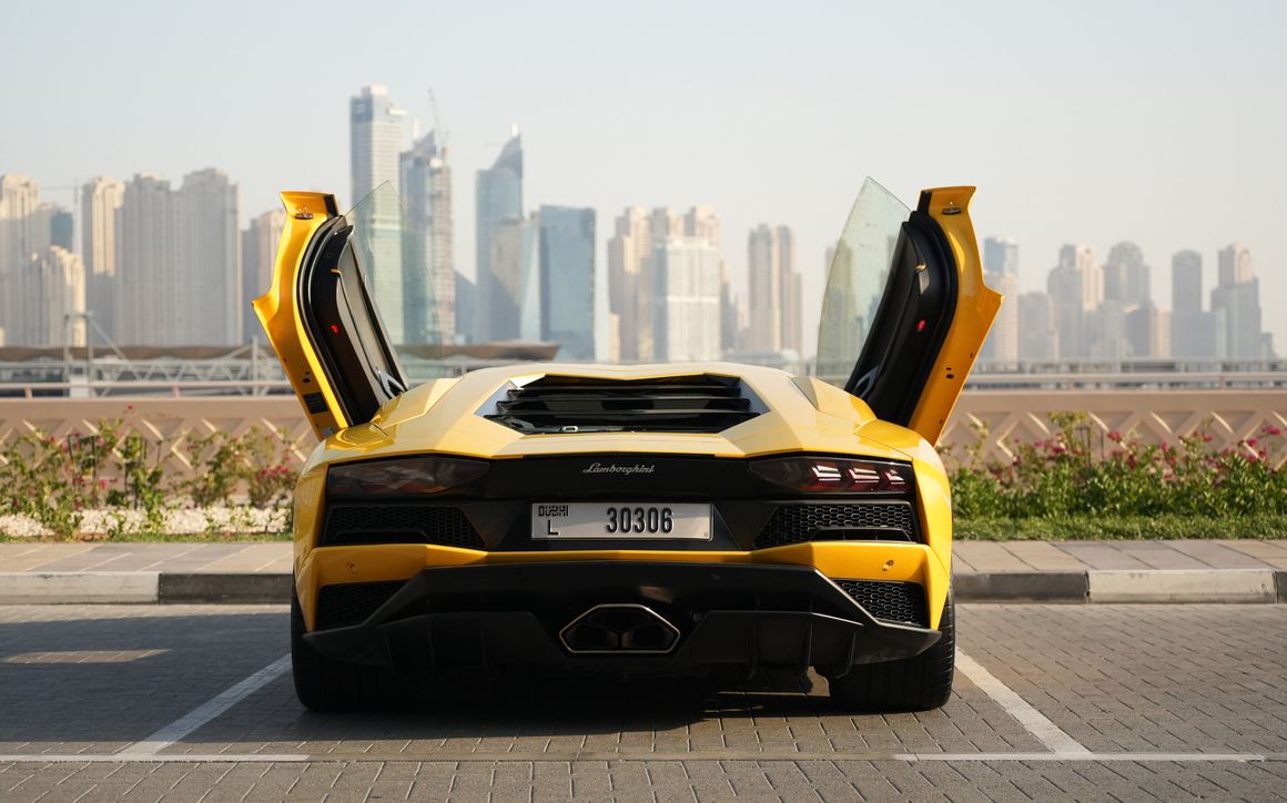 LAMBORGHINI AVENTADOR S - image 6