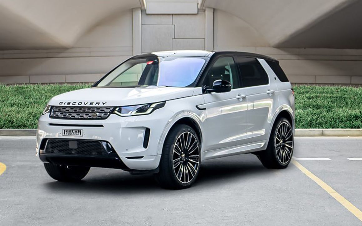 LAND ROVER DISCOVERY - image 1