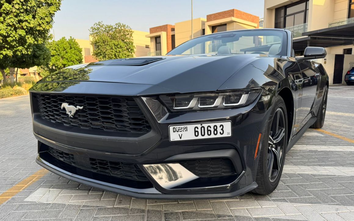 FORD MUSTANG - image 1