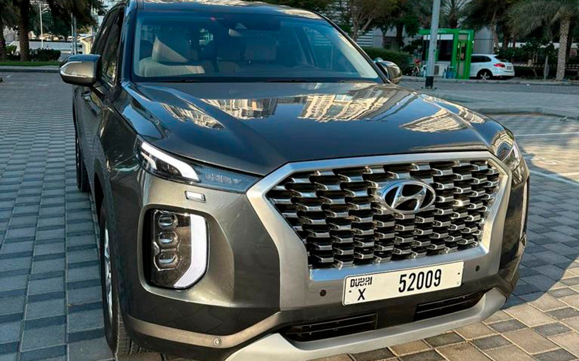 Hyundai Palisade - image 1