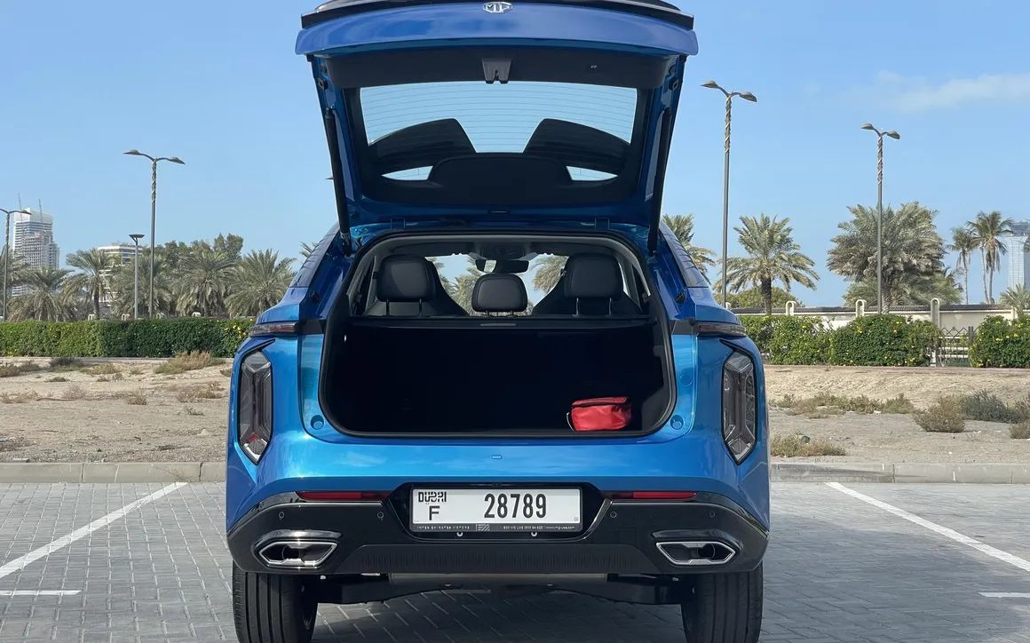 MG WHALE - image 9