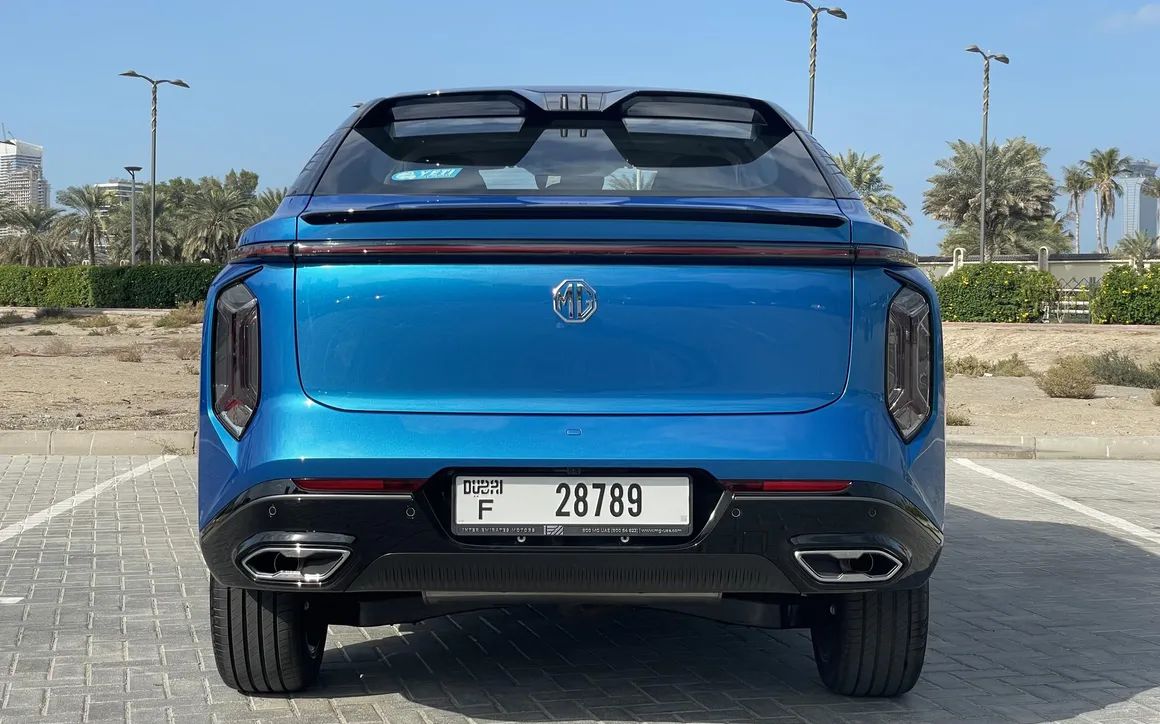 MG WHALE - image 7