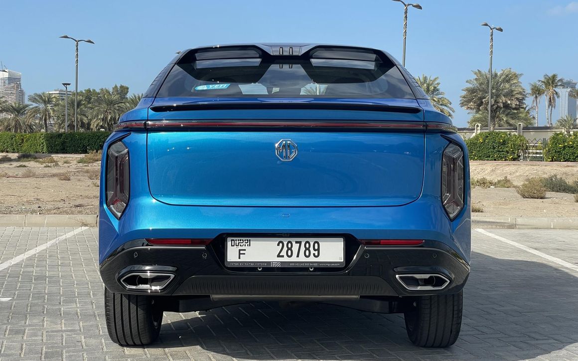 MG WHALE - image 7