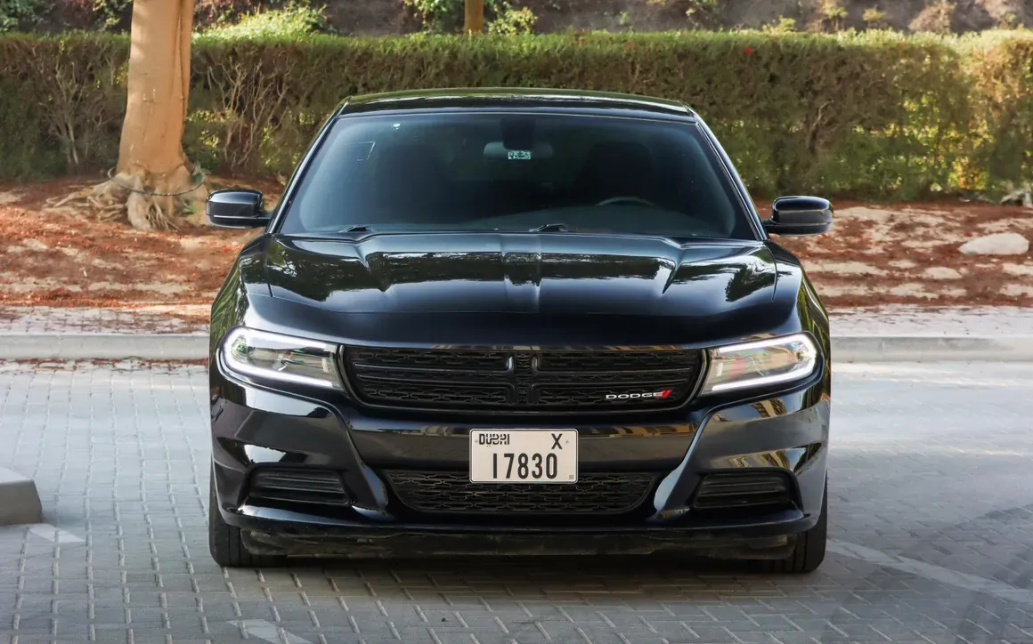 Dodge Charger - image 3