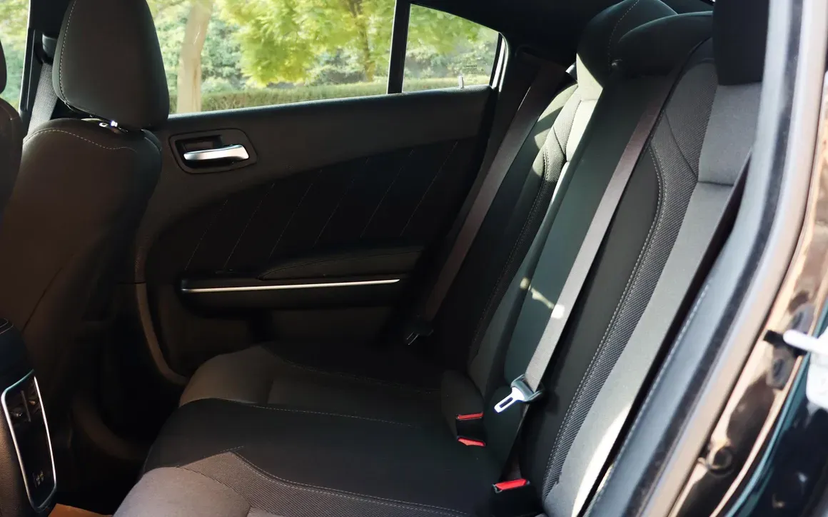 Dodge Charger - image 10