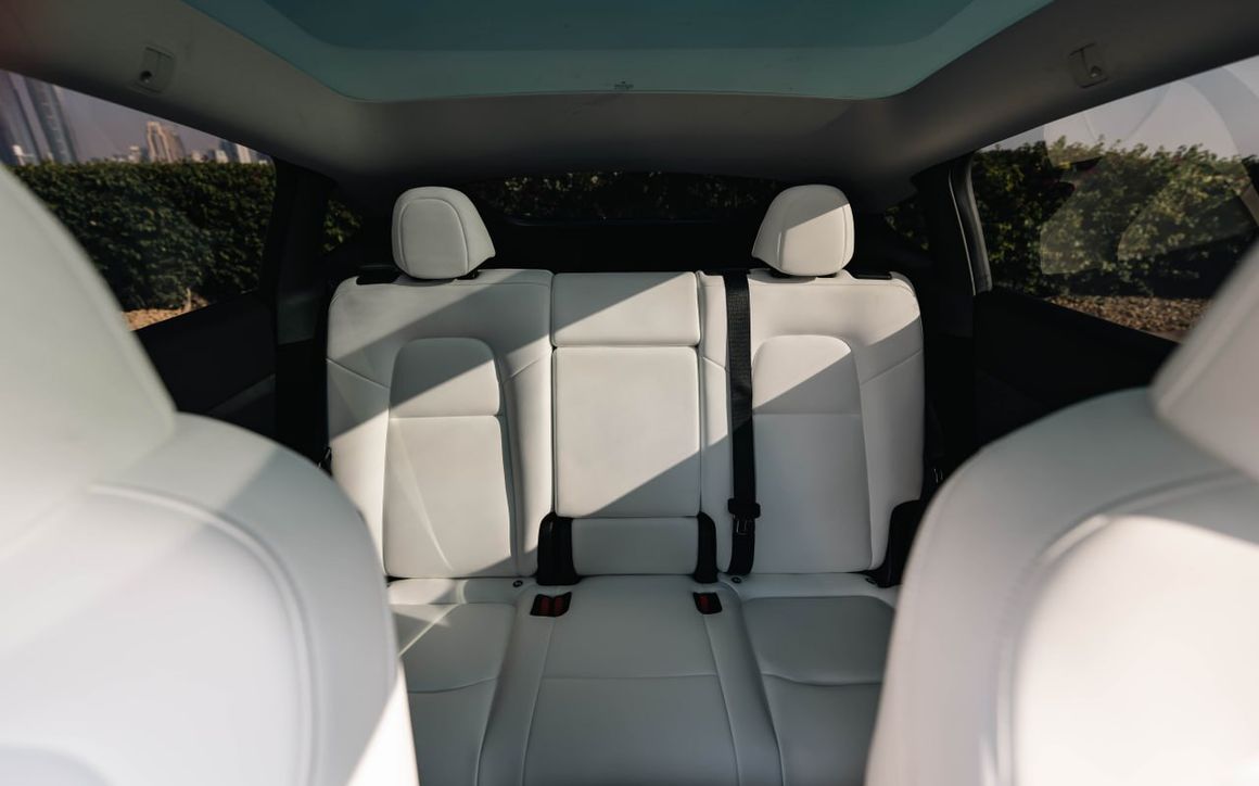 Tesla Model Y  Performance - image 8