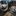 Ford Everest - image 6