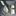 CHEVROLET TAHOE - image 7