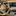 JETOUR X70 PLUS 2024 - image 5