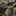 JEEP CHEROKEE - image 2