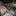 Dodge Charger - image 12