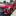 HAVAL Jolion - image 1