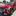 HAVAL Jolion - image 1