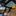 JAGUAR E PACE 2021 - image 7