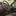 Dodge Charger - image 9