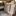 JETOUR DASHING - image 17