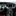 DODGE CHARGER - image 12