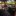 Jeep Wrangler - image 14