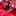 Porsche Boxster 2024 - image 7
