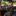 Jeep Wrangler - image 20