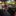Jeep Wrangler - image 14