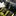 Mclaren 750s spider - image 6