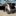 Fiat 695 Abarth - image 10